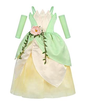 princess tiana dress adults