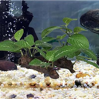 Realistic Faux Silk Aquarium Ficus Tree Fish Tank Decorations Fake  Artificial Plants Aquatic Water Grass Decor Plastic Aquarium Ornament(B) -  Yahoo Shopping