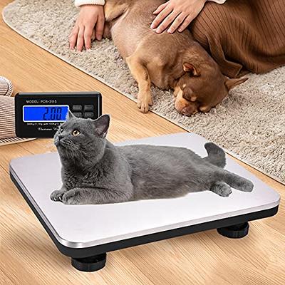 Fuzion 330lbs/5 oz Digital Shipping Scale for Packages, Heavy Duty Weight  Scale, Stainless Steel Large Platform, Commercial Scale for Business,  Office Postal Scale for Parcel, Puppy Scale 