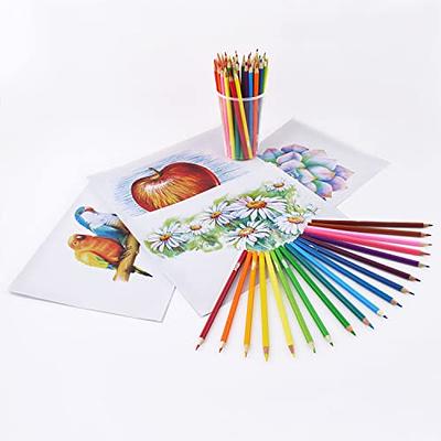 LBW 72 Count Colored Pencils for Adult Coloring Books, Soft Core Coloring Pencils Set for Adults Kids Beginners, Drawing Pencils for Sketching
