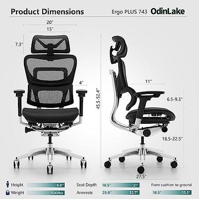 OdinLake Ergonomic Office Chair Mesh,Seat Depth Adjustable Home Office Desk Chairs High Back with Lumbar Support,Computer Swivel Task Chair with