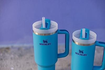 Stanley Quencher H2.0 FlowState Stainless Steel Vacuum Insulated Tumbler  with Lid and Straw for Water, Iced Tea or Coffee, Smoothie and More, Pool, 40  oz - Yahoo Shopping