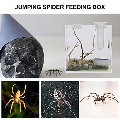 Jumping Spider Breeding Box Landscape Case Enclosure Accessories