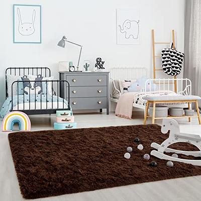 Ophanie 6x9 Area Rugs for Living Room, Large Big Grey Fluffy Shag Fuzzy  Plush Soft Carpets, Floor Shaggy Rug for Bedroom, Gray Carpet for Kids Boys