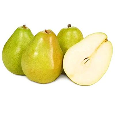 Grow Organic | Bosc Pear Tree