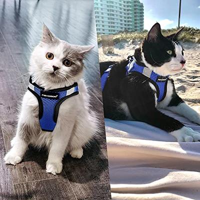 Cat Harness and Leash Set for Walking Escape Proof with ID tag Pocket –  BARKBAY PET