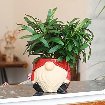 Chonsun Ceramic Planter 6 Inch Plant Pots Indoor Oudoor Planter Flower Pots  Succulent Plant Pots Mid-Century Planter Ceramic Red Gnomes - Yahoo Shopping