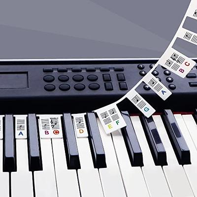 Piano Notes Guide for Beginner, Removable Piano Keyboard Note Labels for  Learning, 88-Key Full Size, Made of Silicone, No Need Stickers, Reusable  and Comes with Box, Colorful : Musical Instruments 