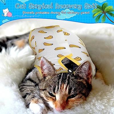 3 Pieces Cat Recovery Suit Kitten Recovery Suit E-Collar