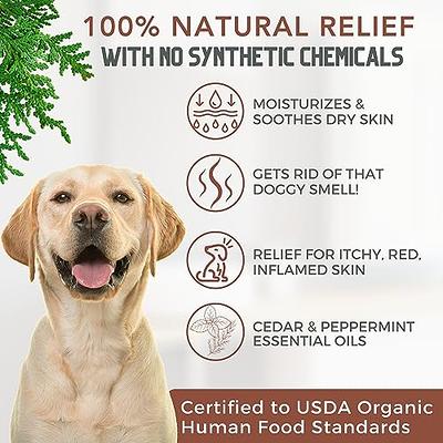 Organic Dog Deodorizing Spray by 4Legger