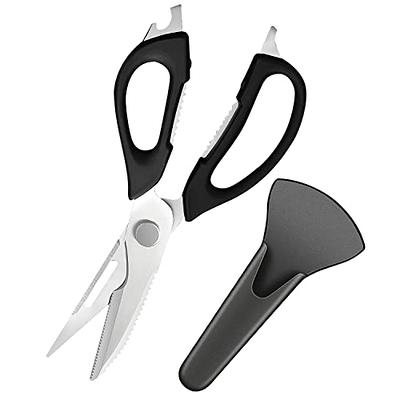 Come-apart Kitchen Shears - Stainless steel