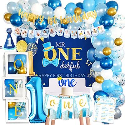 Baby Boy 1st Birthday Decorations Supplies, 1st Birthday Boy Decorations,  Baby First Birthday Decorations for Boy, First Birthday Balloon Boxes,  Backdrop, High Chair Banner, Crown, Photo Banner - Yahoo Shopping