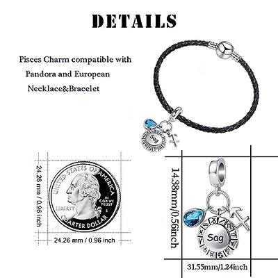 Aquarius Zodiac Sign Charm Bracelet, Pandora Inspired Beads