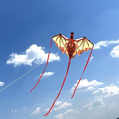Dragon Kite for Kids & Adults & Kite Sting Reel - Yahoo Shopping