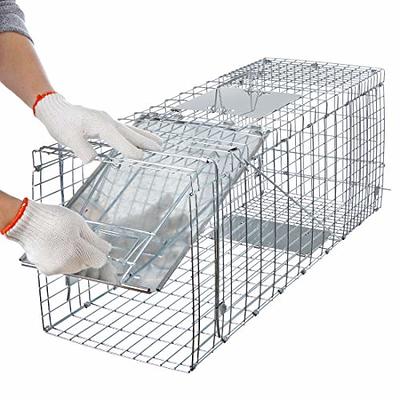 EPESTOEC 17.3 Heavy Duty Squirrel Trap, Folding Live Small Animal Cage  Trap, Humane Cat Traps for Stray Cats, Rabbits, Raccoons, Skunks, Possums  and