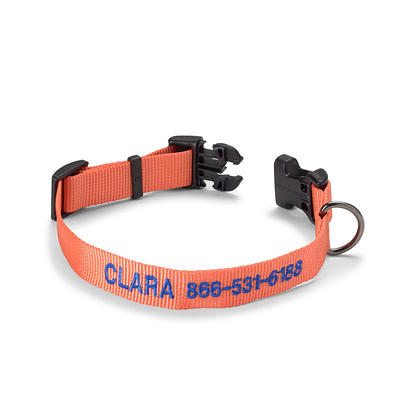 Personalized Side-Release Buckle Dog Collar