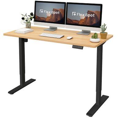 55 Electric Standing Desk Adjustable Computer Desk Home Office