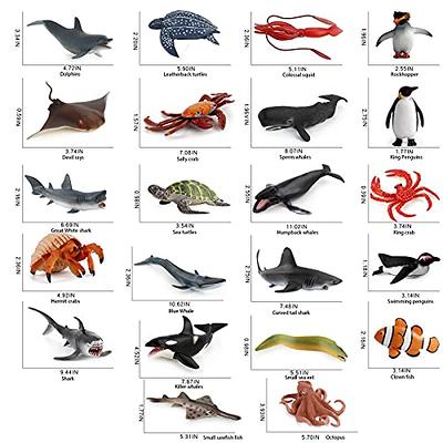 EN] Fish toys for sea animals!! animal names for kids, kids