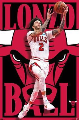 NBA Chicago Bulls - Logo 21 Wall Poster, 22.375 x 34 