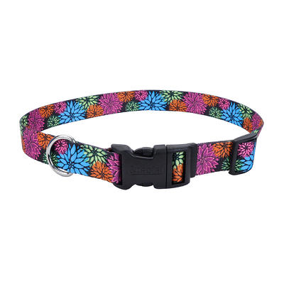 Coastal Pet Products Sublime Adjustable Dog Collar