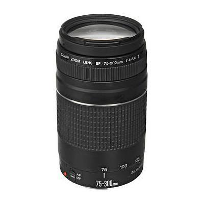 Canon Ef 75 300mm F 4 5 6 Iii Lens 6473a003 Yahoo Shopping