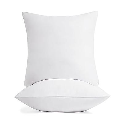 Deconovo 18x18 Pillow Inserts(Pack of 2), Soft Fluffy Plump Pillow Stuffer,  18 Inch Square Pillow Inserts, White Throw Pillows for Couch Bed Sofa