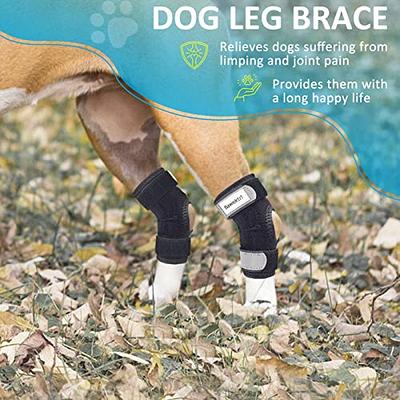 Dog Knee Brace for Torn ACL Hind Leg, Rear Leg Braces for Dogs Luxating  Patella, Metal Spring Strong Support and Flexible Joint Care, Easy to Put  On