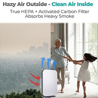 Alen BreatheSmart FLEX HEPA Filter