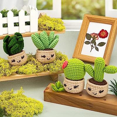 Crochet Kit for Beginners - 4Pcs Succulents, Beginner Crochet Starter Kit  for Complete Beginners Adults, Crocheting Knitting Kit with Step-by-Step  Video Tutorials