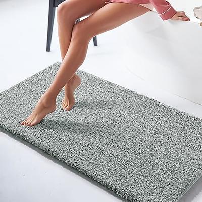 TECHMILLY Super Soft Shaggy Bathroom Rugs, Absorbent Thick Non Slip  Microfiber Bath Rugs, Quick Dry Machine Washable Bath Mat for Bathroom  Floor