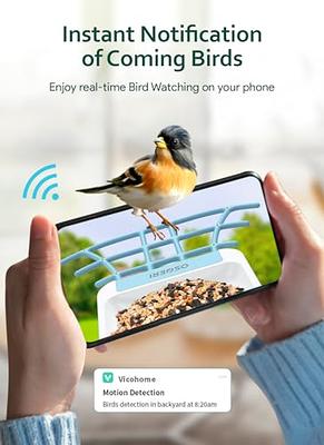  Smart Bird Feeder Camera, Hummingbird Watching Camera with  Motion Detection & Auto Capture Bird, 100° Wide Angle & Waterproof 1080P HD  Night Vision Bird Camera with 32G Card for Bird Lover