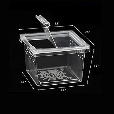 Acrylic Critter Keeper Jumping Spider Enclosure Snail Container