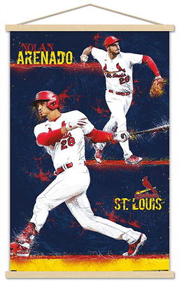 MLB Rivalries - St. Louis Cardinals vs Chicago Cubs Wall Poster, 14.725 x  22.375 Framed - Yahoo Shopping