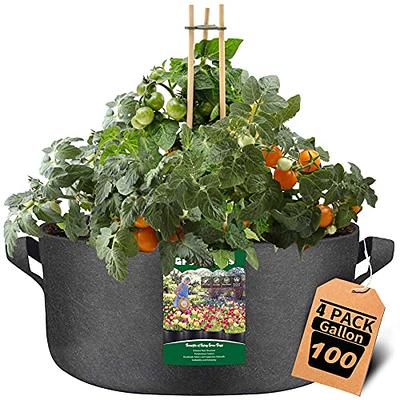 venrey 6-Pack 10-Gallon Plant Growing Pot Bags with Handles and 20 pcs  Plant Labels, Outdoor Garden Fabric Grow Bags, Heavy Duty 300G Thickened