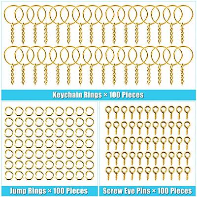 Keychain Rings Kit for Crafts Gold, PAXCOO Includes 100Pcs Split Key Ring  with Chain, 100pcs Jump Rings and 100pcs Screw Eye Pins for Resin Keychain  Making - Yahoo Shopping