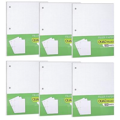 Basics Graph Ruled Loose Leaf Filler Paper 100 Sheet 11 x 8.5 Inch  Pack