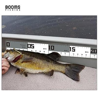 Booms Fishing