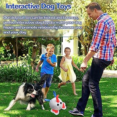 Letsmeet Squeak Dog Toys Stress Release Game for Boredom, Dog