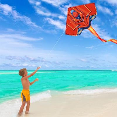 Plane Kite, Kites for Adults & Kids 4-8 8-12,,Easy to Fly Kite