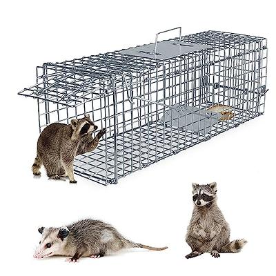 Gingbau Heavy Duty Live Animal Trap for Squirrels, Small Rabbits and More