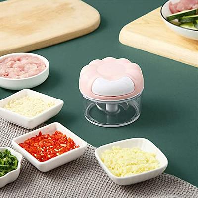 Manual Food Chopper,Mini Multifunctional Pull Meat Vegetable