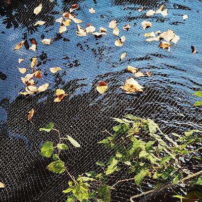 Meanchen Pond Netting 14 X 14 FT,Pond Netting for Leaves,Pond