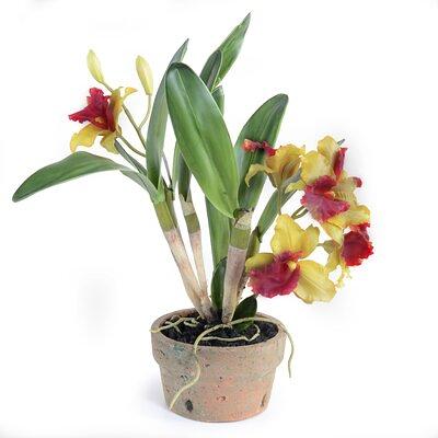 Orchid Floral Arrangement in Planter Primrue Flowers/Leaves Color: Purple