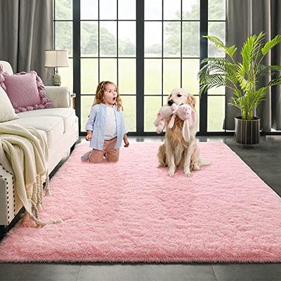 Kimicole Baby Pink Area Rug for Bedroom Living Room Carpet Home Decor,  Upgraded 4x5.9 Cute