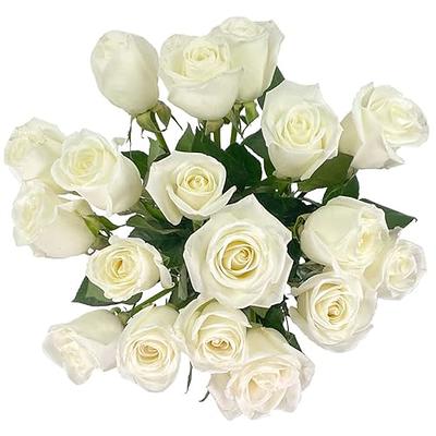 18 White Roses, Fresh Flower Bouquet with Vase