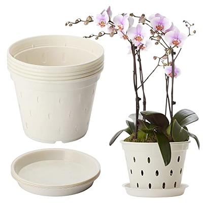 2 Pcs Orchid Pot Extra Large Pots Trees Planting Plastic Indoor Planters  Flower Nursery - AliExpress