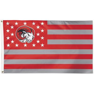 Tennessee Titans WinCraft 3' x 5' Pride 1-Sided Deluxe Flag