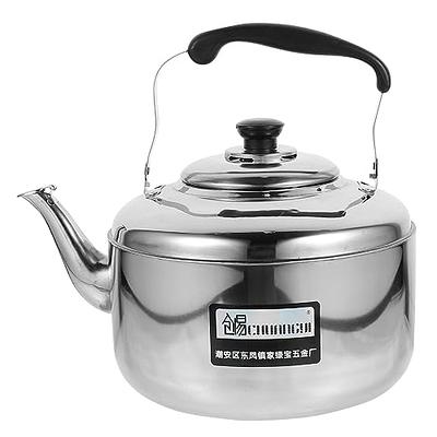 Mr. Coffee Duclair 2.3 Quart Stainless Steel Wide Whistling Tea Kettle in  Brushed Chrome