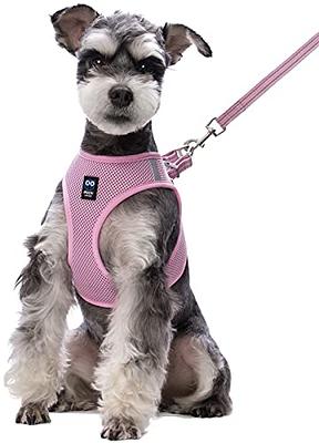 QTpawz French Bull Dog Vest Harness with Matching Leash, Breathable Mesh  Interior Liner, 4 Adjusting Buckles to Get The Perfect Frenchie Fit (Medium)