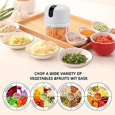 Electric 300ML Garlic Press Chopper Chili Onion Fruits Meat Mincer Blender  Mixer 